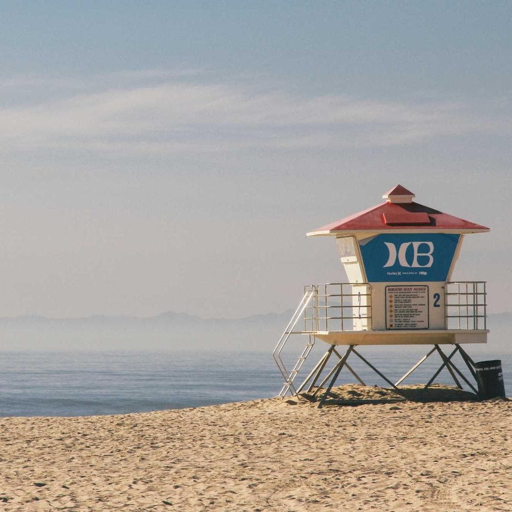 Voice assistant interface