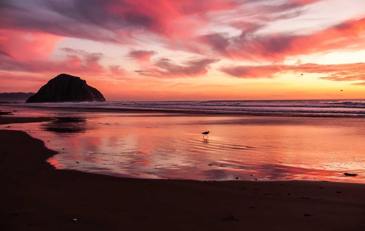 Contact Sales and Onboarding